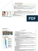 Sindrome Piramidal y Evento Cerebro Vascular