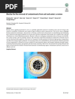 Application of Biochar Based Materials-Enriched or Prinsted - in Pollutants Elimination in Soil and Water