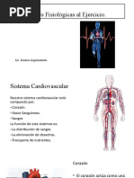 Adaptaciones Fisiologicas Al Ejercicio (Autoguardado)