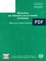 Derechos en Relación Con El Medio Ambiente - María Del Carmen Carmona L.