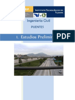 Puentes Estudios Preliminares