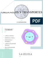 Organelos y Transportes