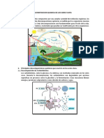 Descomposicion Quimica de Los Seres Vivos