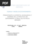 De Principiante A Experta (Patricia Benner) Sabatino Primero