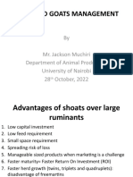 Shoats Management 28th October, 2022