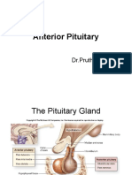 Anterior Pituitary (Autosaved)