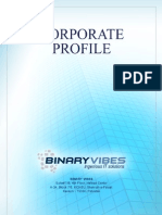 Binary Vibes Corporate Profile