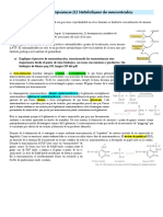 Guia 3 BX Síntesis de Urea