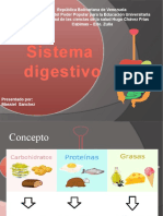 Sistema Digestivo