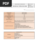 D Go 17 Descripcion y Perfiles de Cargo