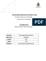 Mapa Conceptual Tipos de Liderazgo