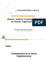 Fundamentos de La Teoría Organizacional