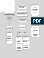 Mapa Conceptual Reino Protista 2