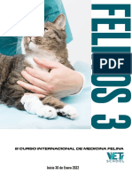 Felinos 3 Información y Programa.