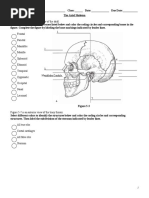 Axial Skeleton Labeling