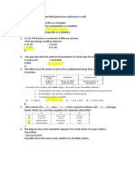 Long Test As Level Nucleic Acid