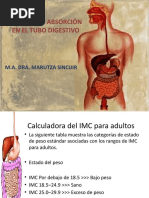 4 Digestion y Absorcion de Nutrientes