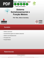 Sistema Somatossensorial e Função Motora