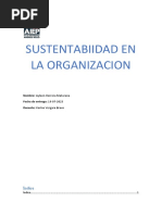 Sustentabiidad en La Organizacion