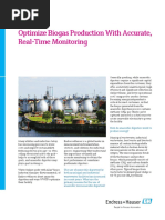 WP01049A24EN0117 - 0519-Optimize Biogas Production With Accurate, Real-Time Monitoring - v001