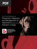 AHS Canine Guidelines 11 13 20