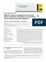 Brain Tumor Classification Via Genetic Algorithms 3 - Use