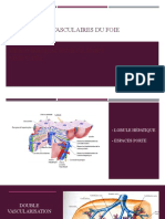 Anomalies Vasculaires Foie