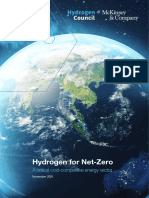 Hydrogen For Net Zero - Full Report