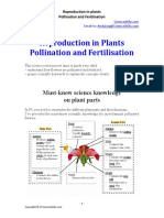 Science Revision Notes - Reproduction in Plants - Pollination and Fertilisation