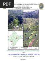 La Deforestación en La Region Loreto