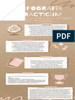 Infografía Practicum Politica Publica para Una Internet Segura