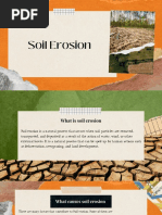 Ess Soil Erosion