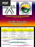 2 - Algodon Plagas - 2015