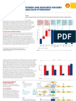 Blue H2 Briefing Note