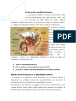 Estudio de La Anatomía en La Sexualidad Humana