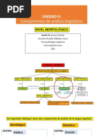 Sesión 10.morfología