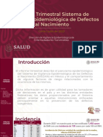 InformeTrimestralSVEDAN 2T2023