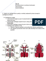 Skeletal Urogenital Lecture Comparative