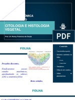 10 Folha Slides