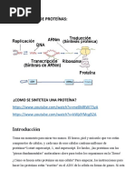 Síntesis de Proteínas