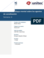 S6-Tarea 6.1 Mapa Mental Sobre Los Agentes de Socialización