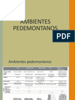 Ambientes Pedemontanos 2021