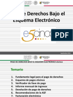 Pago de Derechos Esquema E5cinco