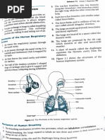 2.1 Respiratory System