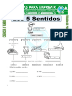 Ficha de Los 5 Sentidos para Tercero de Primaria