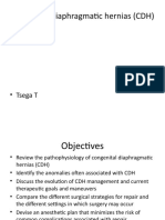 Congenital Diaphragmatic Hernias (CDH)