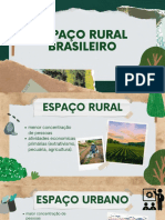 Geografia - Espaço Rural Brasileiro