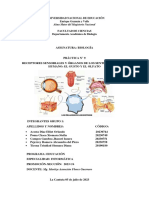 Práctica N°9 Receptores Sensoriales y Órganos de Los Sentidos en El Ser Humano - El Gusto y El Olfato