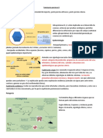 Seminario Porcinos II