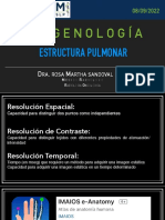 Estructura Pulmonar